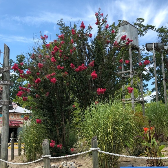 Meet your Posher, CKru11.  😊❤️👋🏻 - Picture 2 of 5